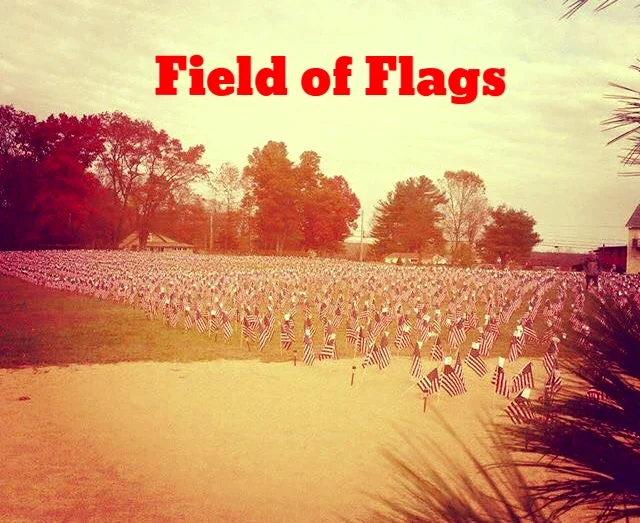 field of flags.jpg