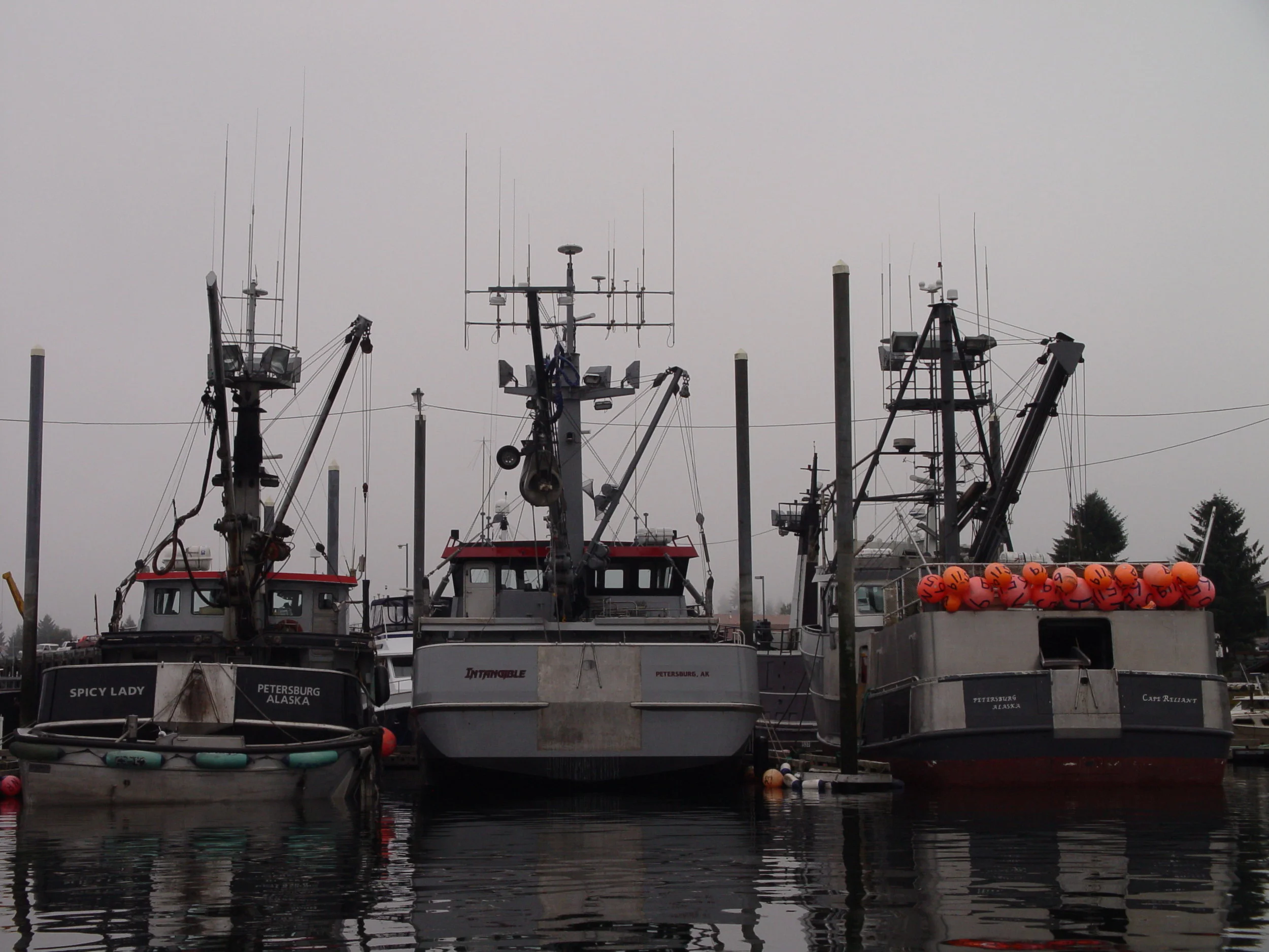 Copy of DSC06228.JPG