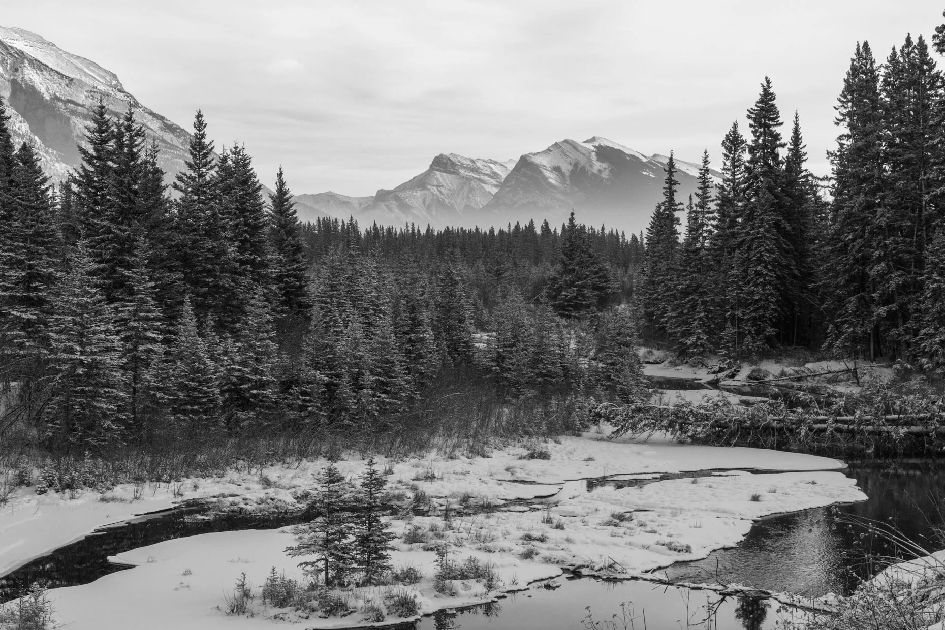 _MG_2495-Edit-2.jpg