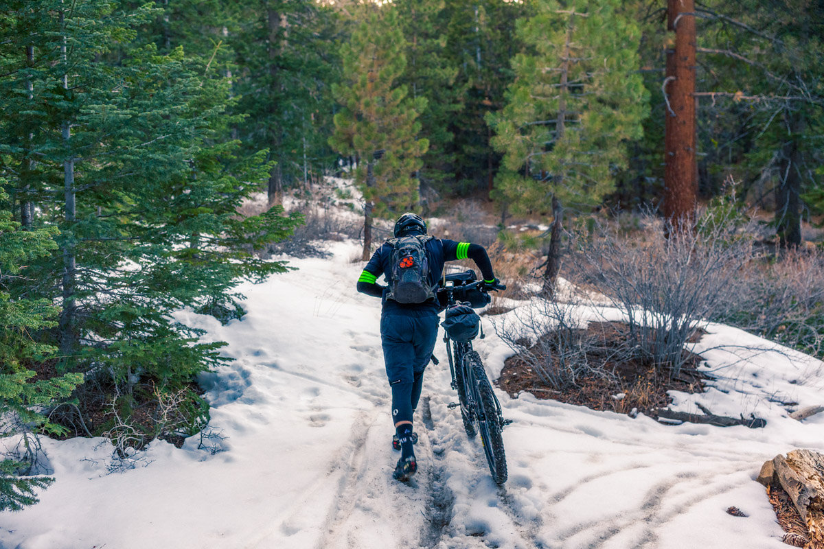 Pinos_03_15_2014_9419-Edit-2.jpg