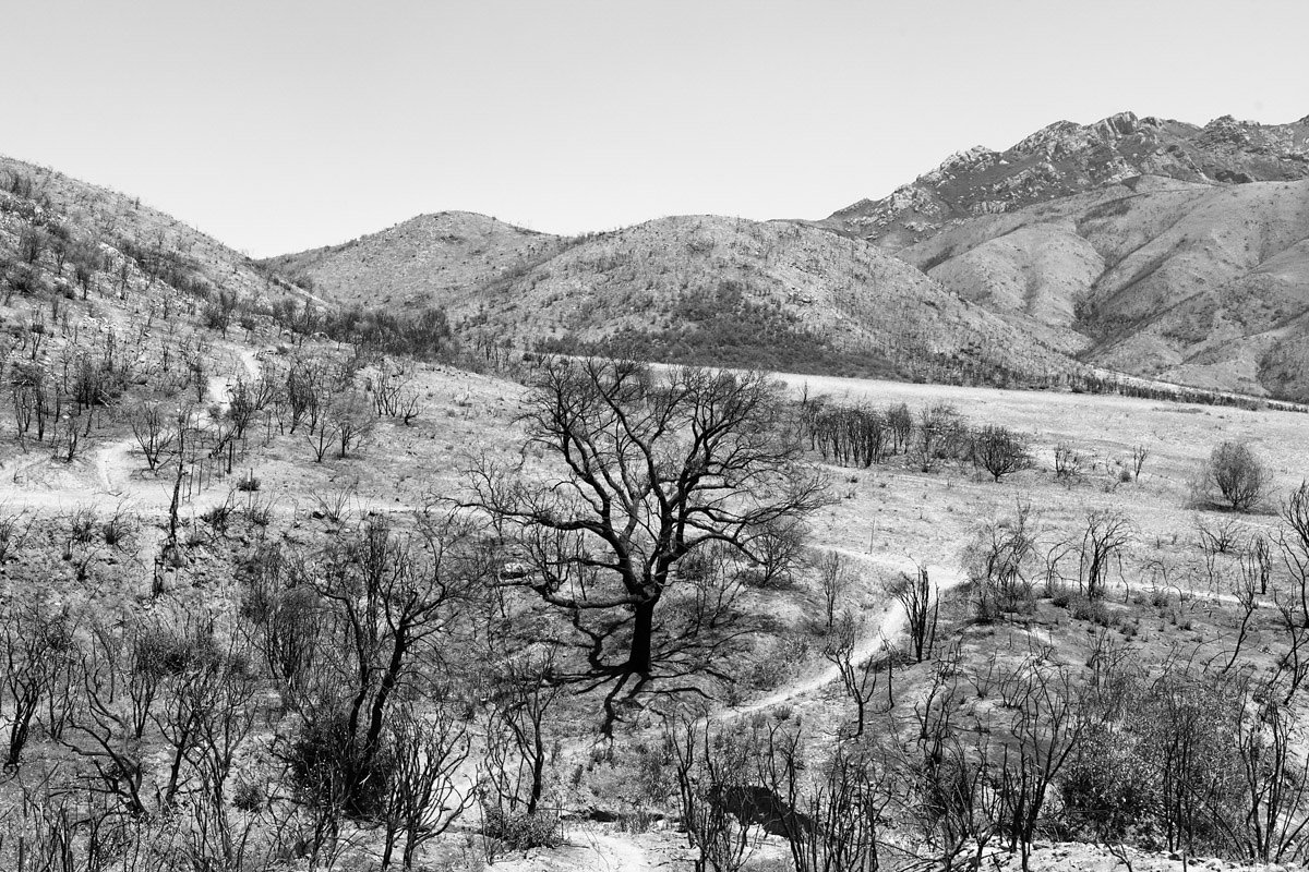 Sycamore_Canyon_05_11_2014_5224-Edit.jpg