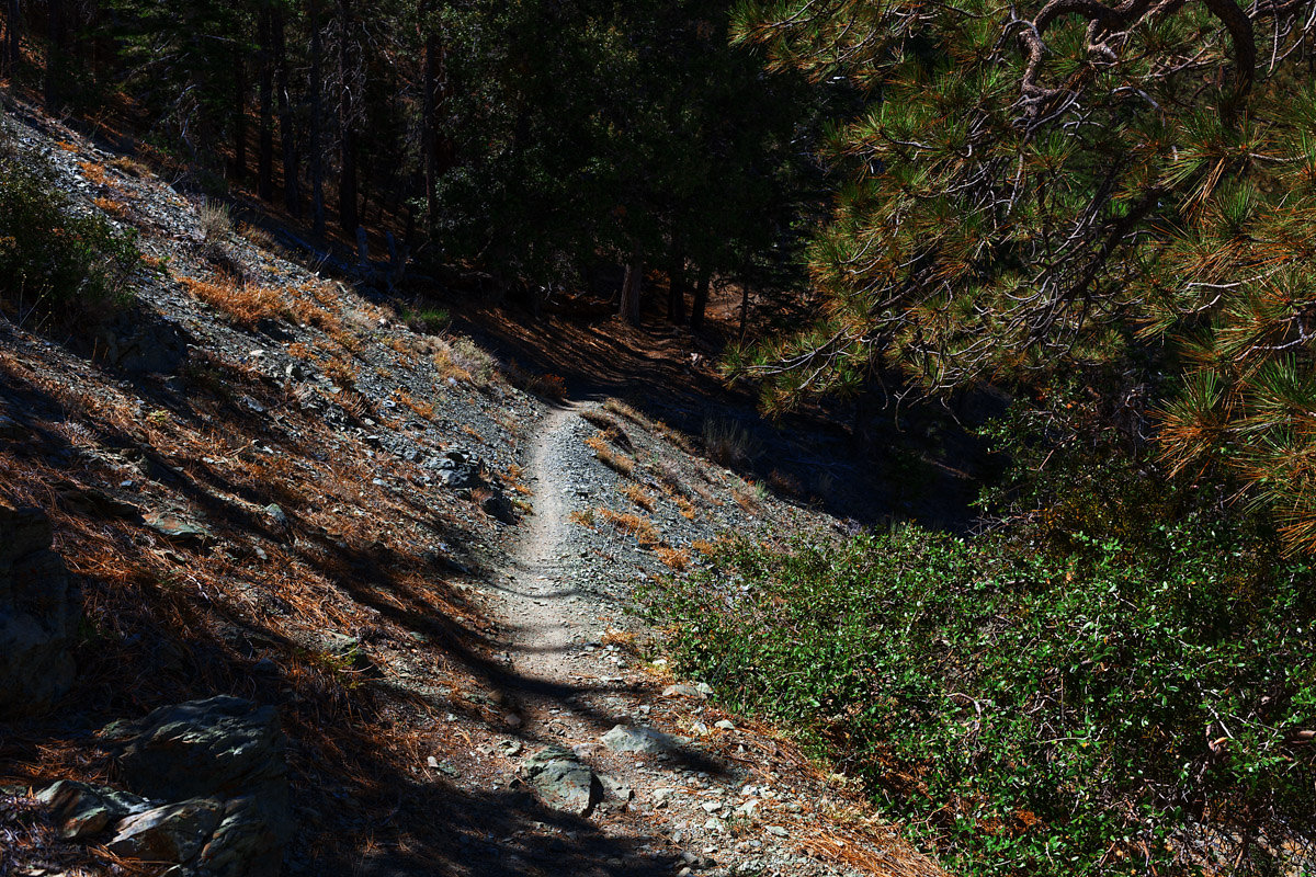 Wrightwood_08_17_2014_0264-Edit.jpg