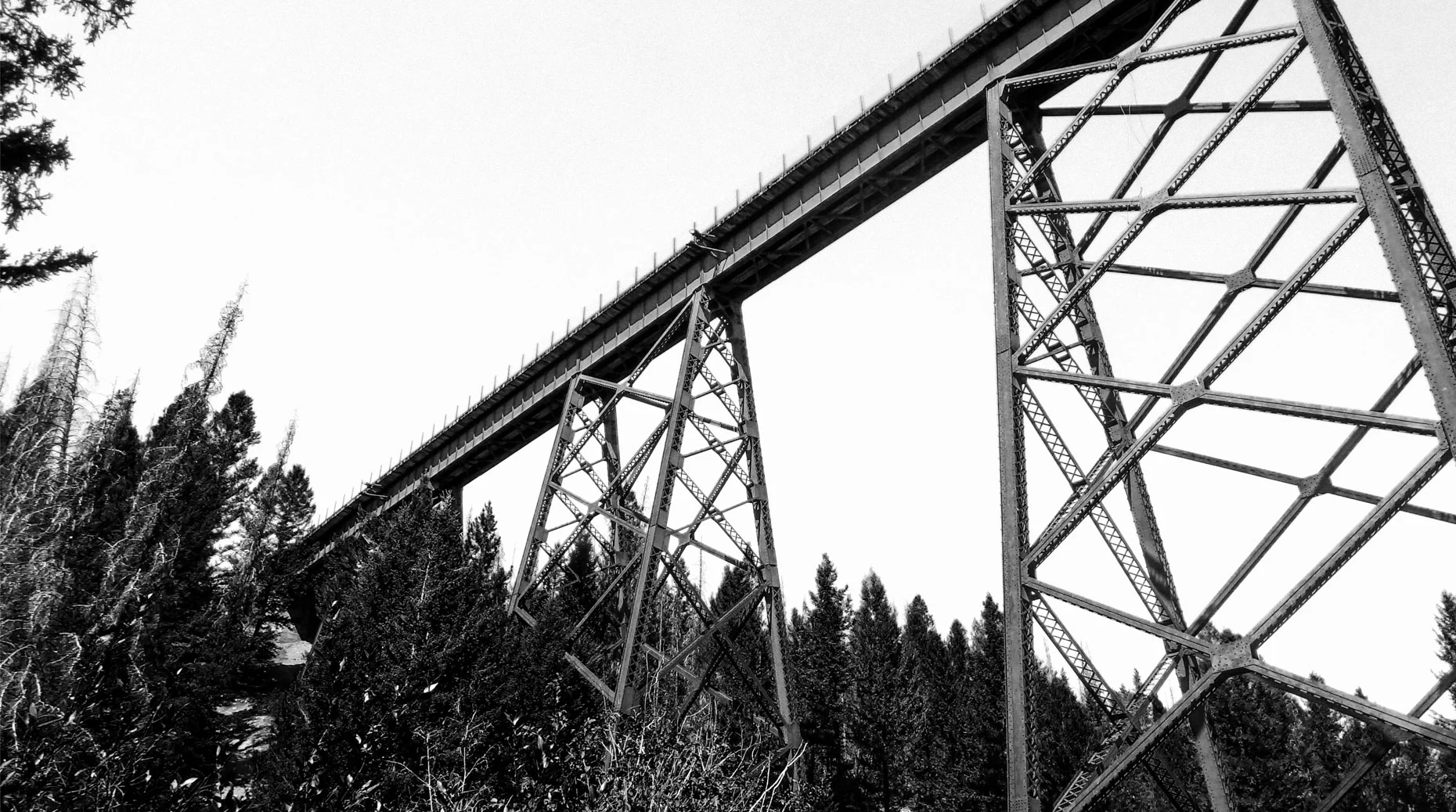 TD12_ITTD_2349_12x18.jpg