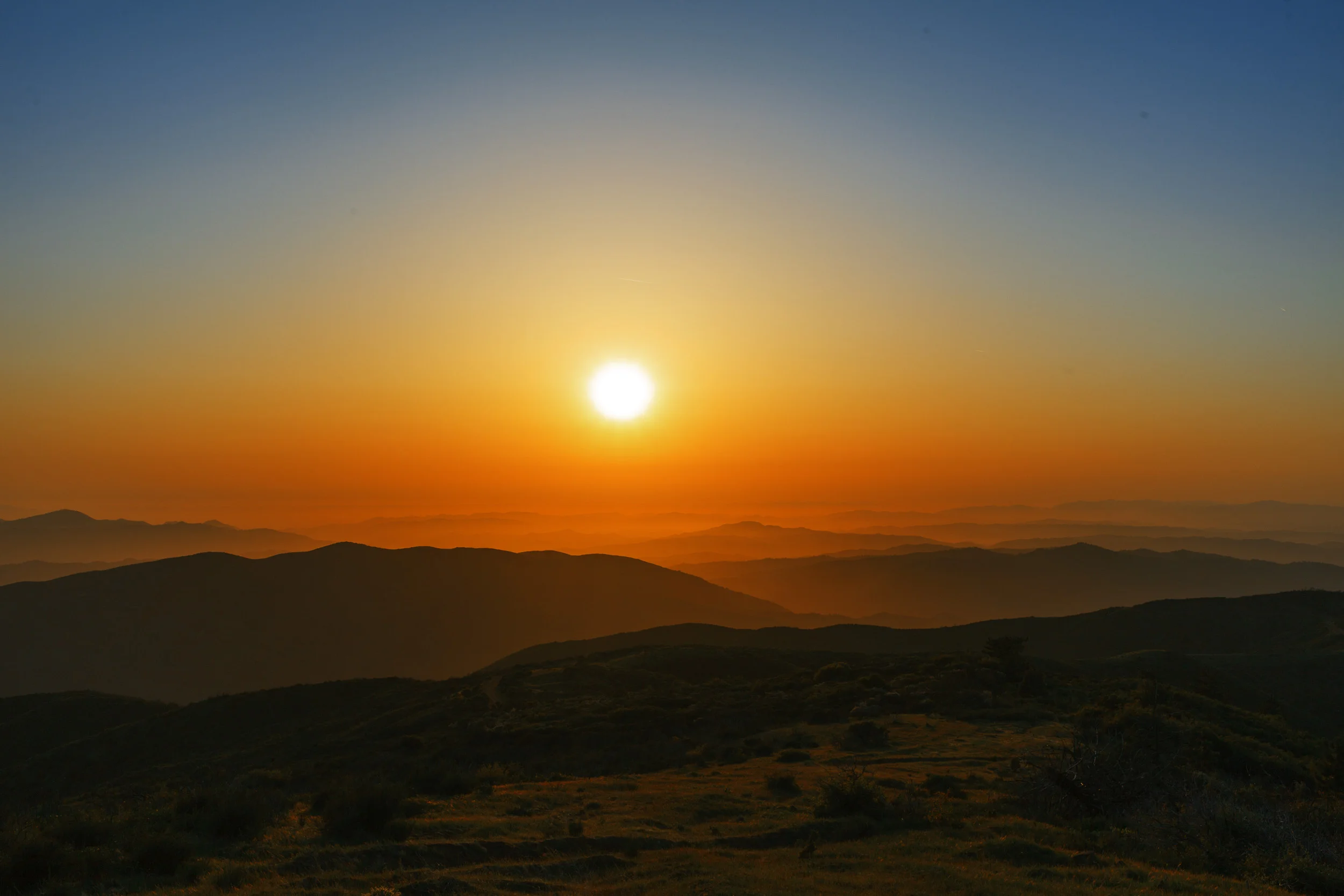 TDLP_04_19_2014_0236-Edit.jpg
