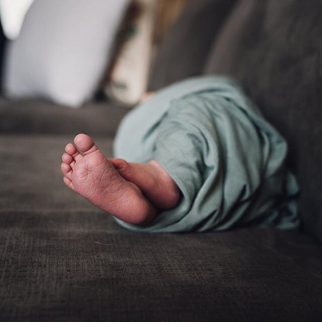 Pictures are a souvenir of what you never want to forget, like these delicious teeny little toes that always grow too quickly.
.
.
#mysticcreekphotography #okotoksphotographer #yycfamilyphotographer #babypictures #newborn #lifestylenewbornphotography