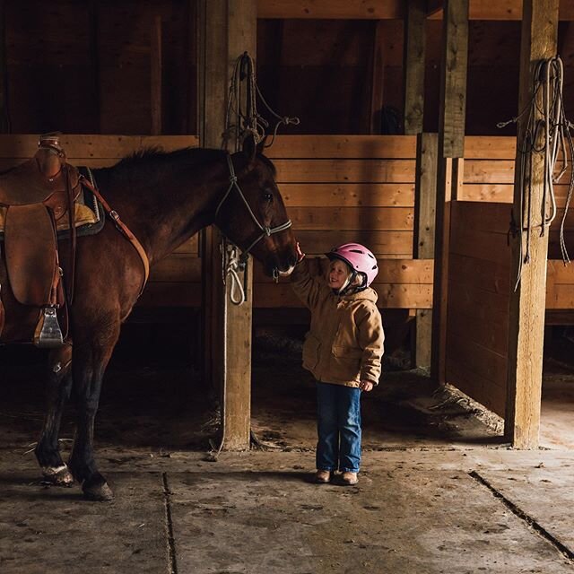 A horse is like a best friend. He makes your life a better place. ⠀⠀⠀⠀⠀⠀⠀⠀⠀
⠀⠀⠀⠀⠀⠀⠀⠀⠀
⠀⠀⠀⠀⠀⠀⠀⠀⠀
⠀⠀⠀⠀⠀⠀⠀⠀⠀
⠀⠀⠀⠀⠀⠀⠀⠀⠀
⠀⠀⠀⠀⠀⠀⠀⠀⠀
⠀⠀⠀⠀⠀⠀⠀⠀⠀
#mysticcreekphotography #okotoks #okotoksfamilyphotographer #horses #albertafoothills #horsephotography #southerna