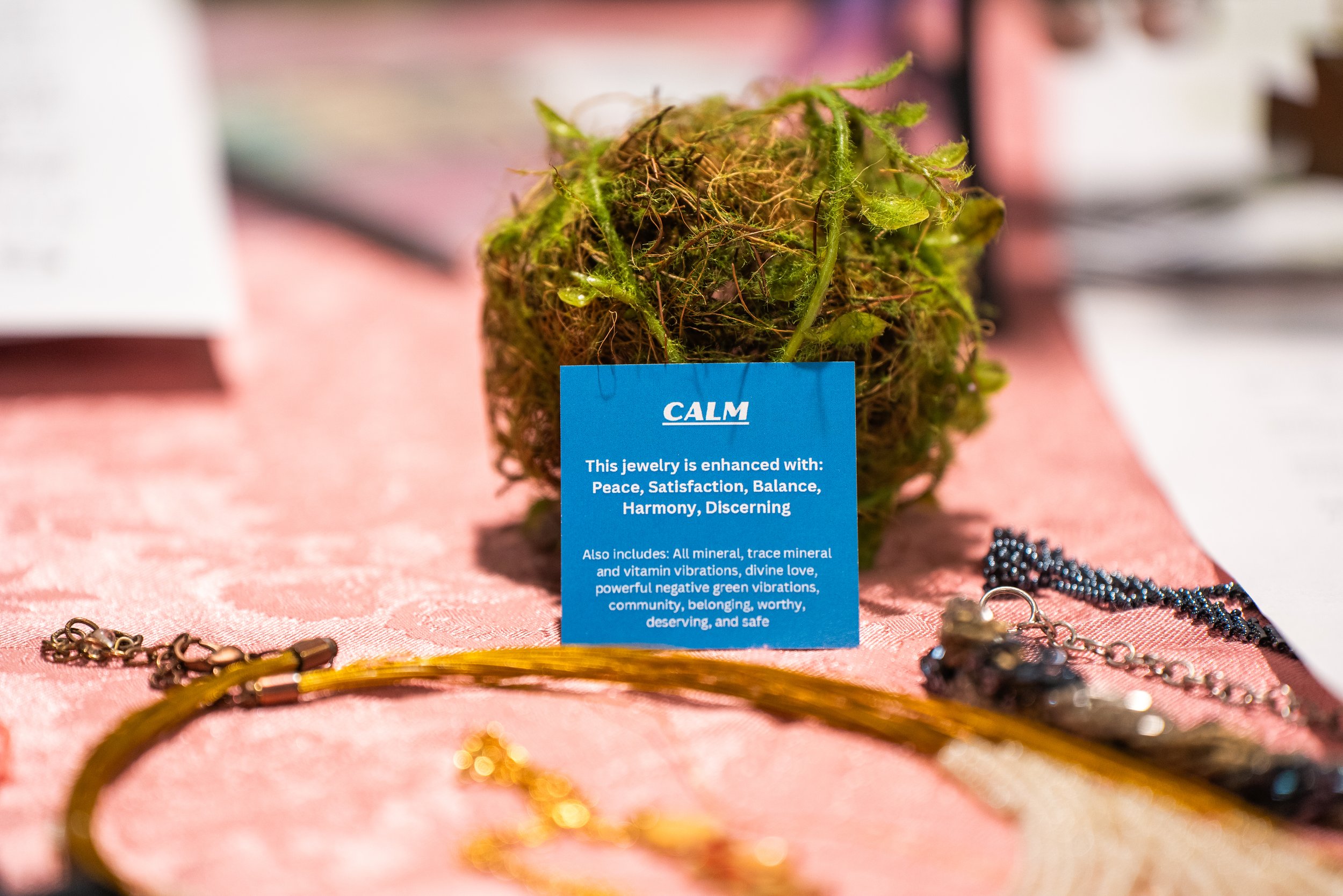 Holistic Wellness Educational Workshop