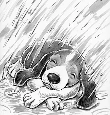 puppy+in+fountain.jpg