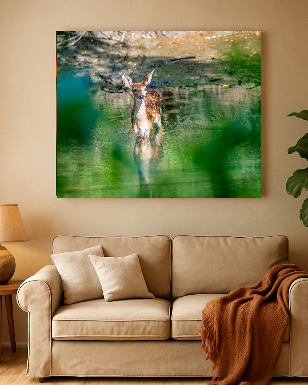 Sweet Fawn-In Home.png