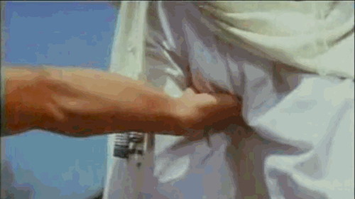 FWL3.gif