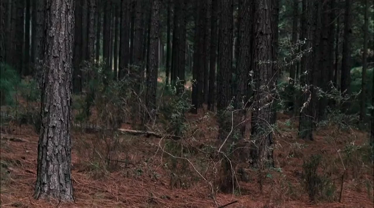 large-screenshot2.jpg