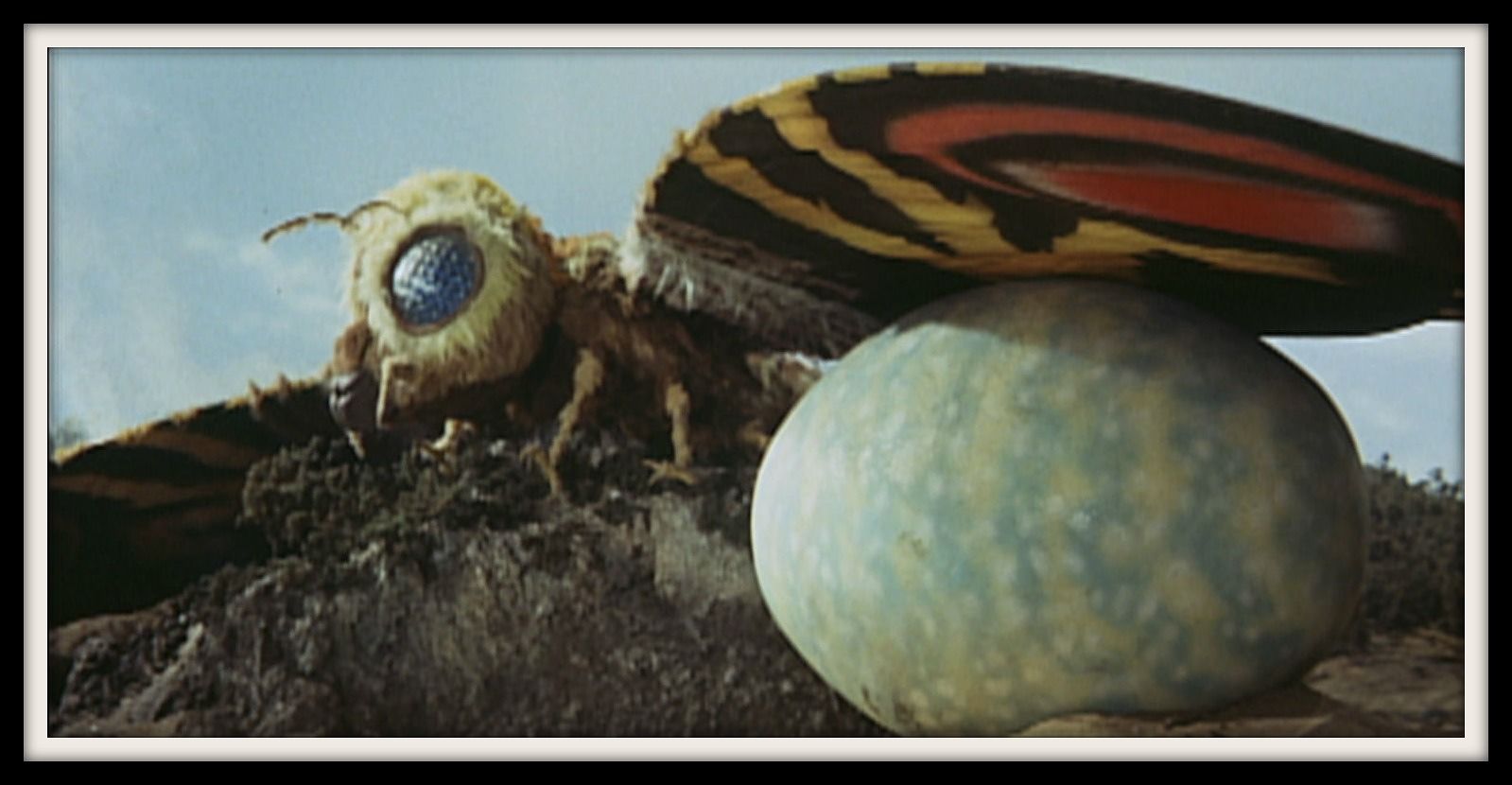 Godzilla-vs-mothra-1964-dcc521cf-52ae-4002-b78f-3b5078d4f5a0-jpeg-147796.jpg