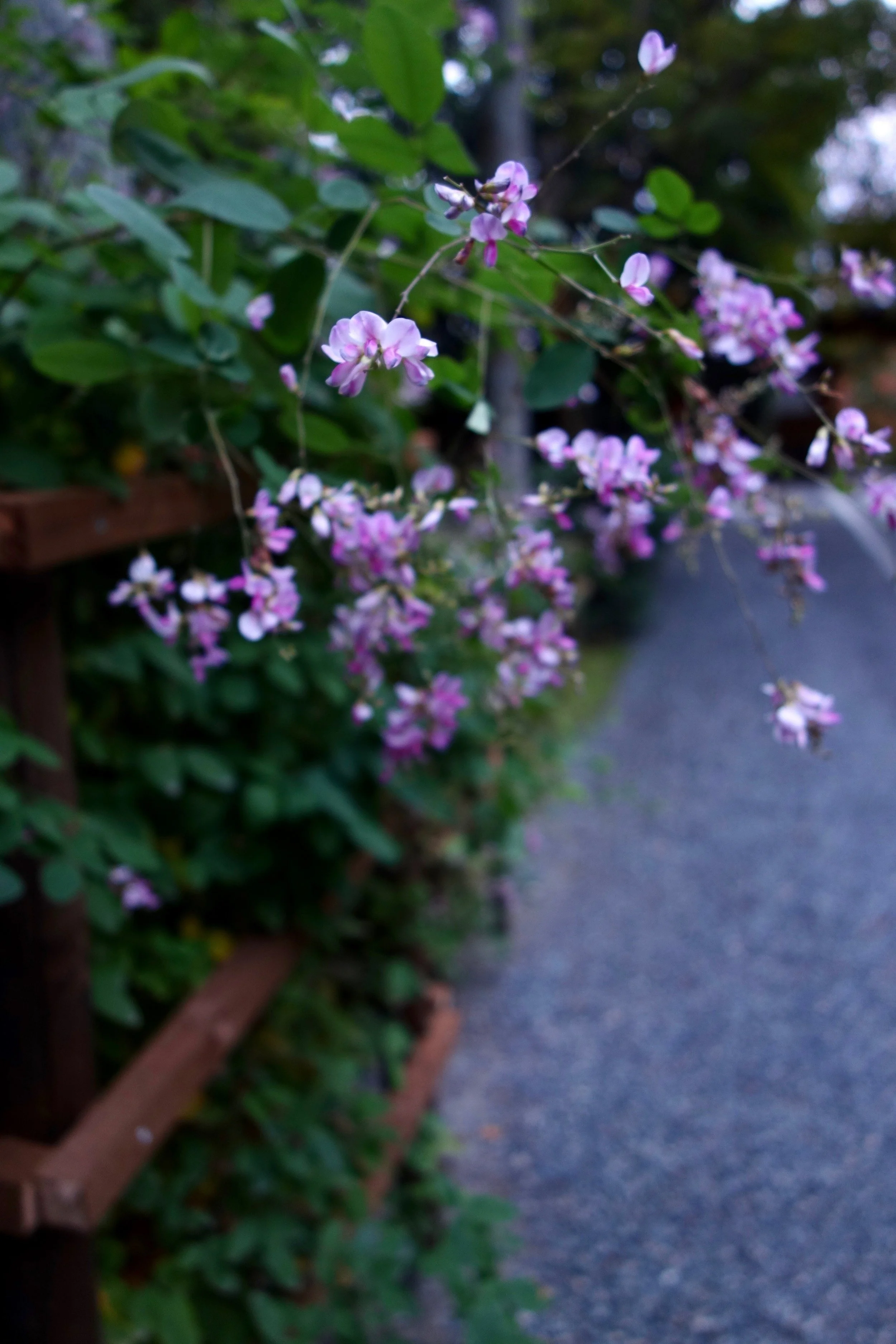 DSC03743.jpg