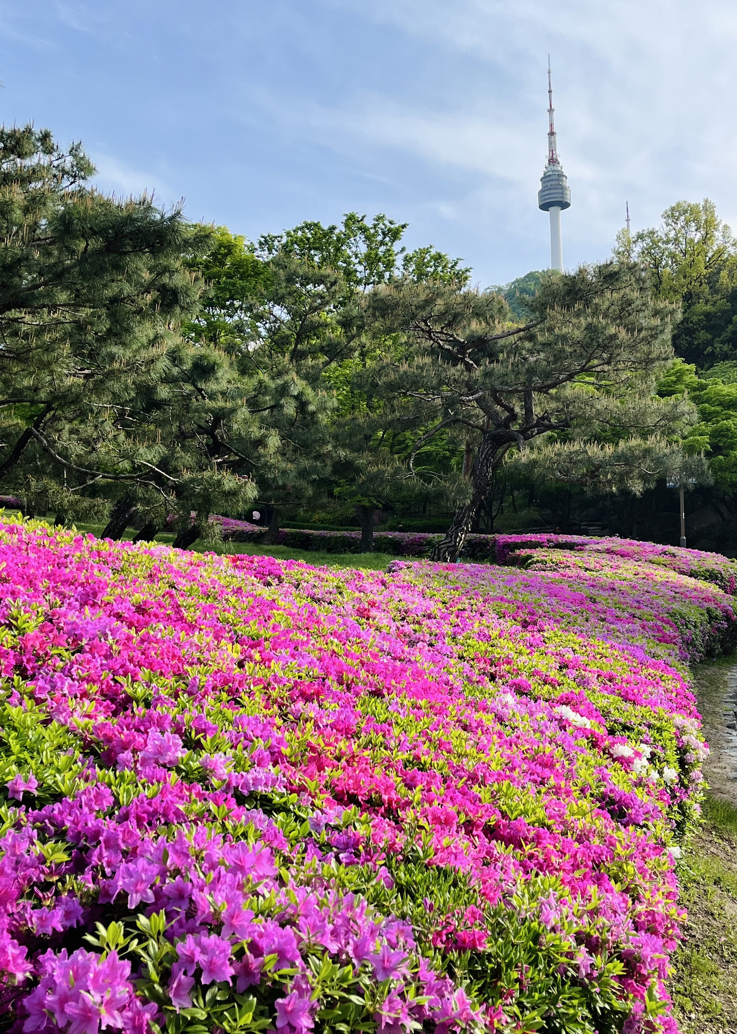 IMG_8590.jpeg