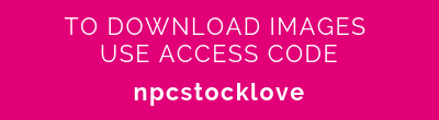 Download Code.png