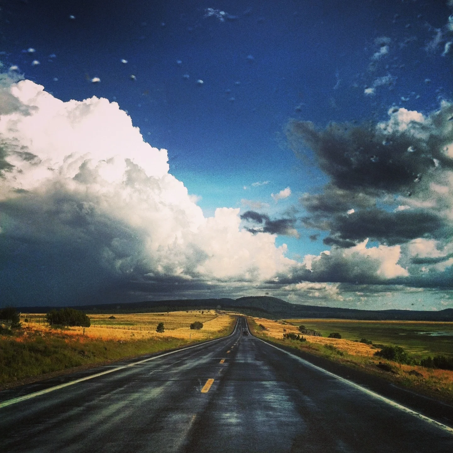 Northern Arizona highway ( photo by Gabrielle Pietrangelo)