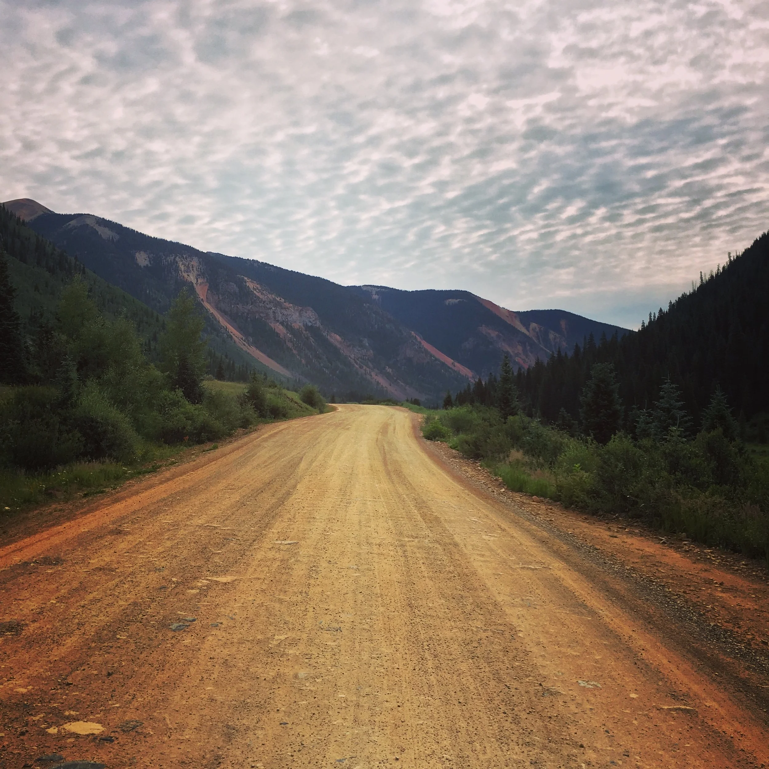 Forest Service Road, San Juan Mountains, Southern Colorado (photo by Gabrielle Pietrangelo)