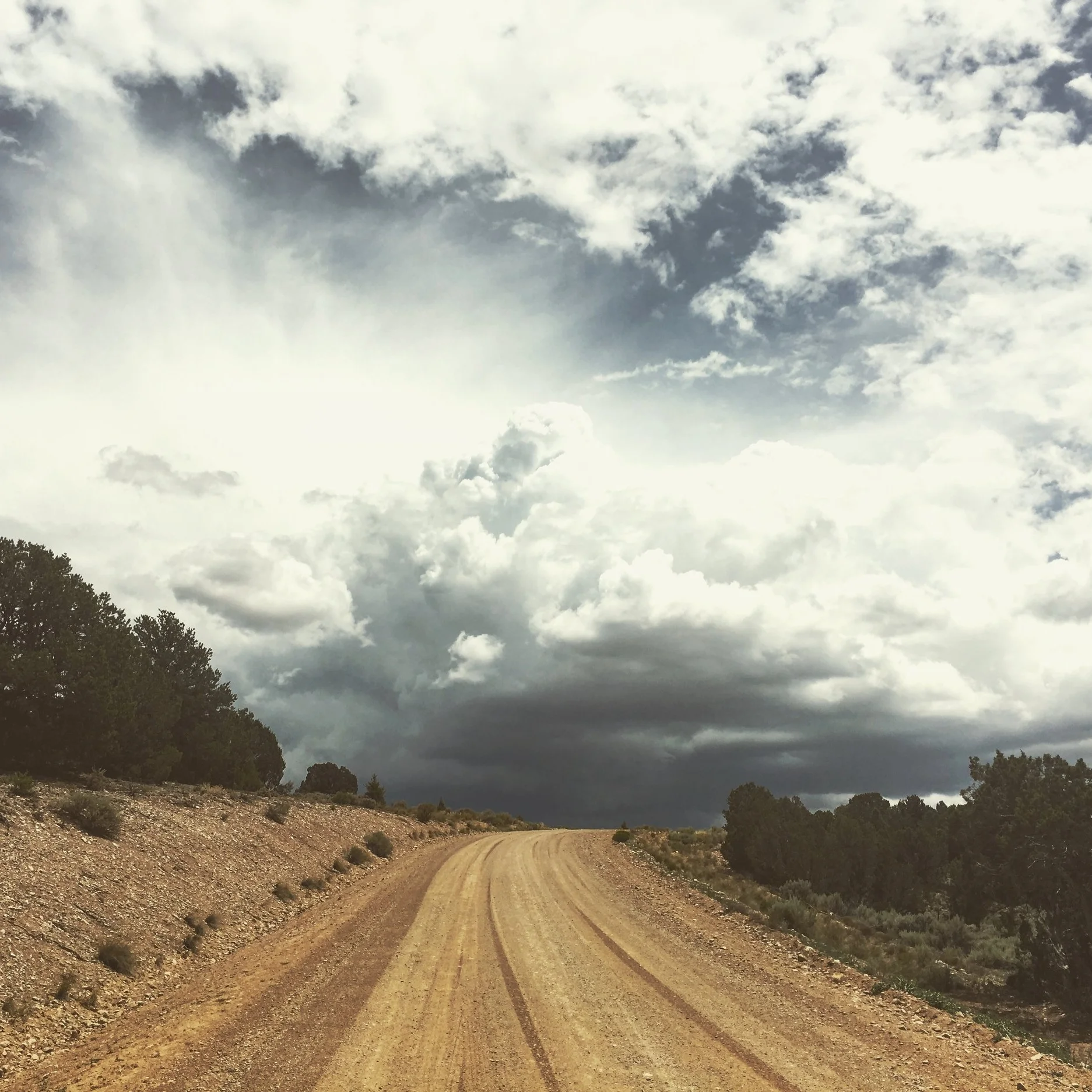 Tune Drive near the Manby Hotsprings, New Mexico (photo by Gabrielle Pietrangelo)