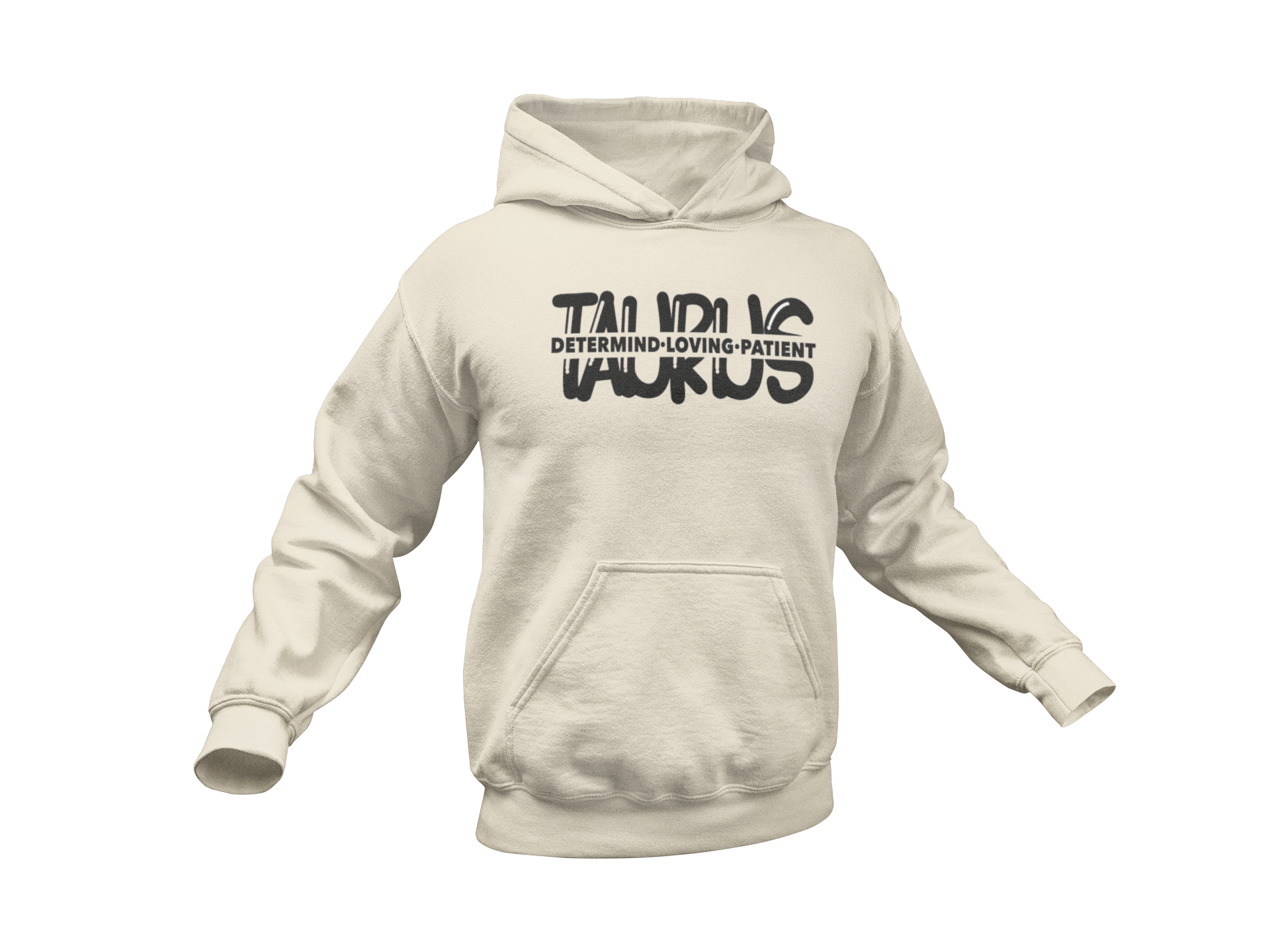 mockup-of-a-man-s-pullover-hoodie-transparent-background-a10659 - 2026-04-04T130716.763.png