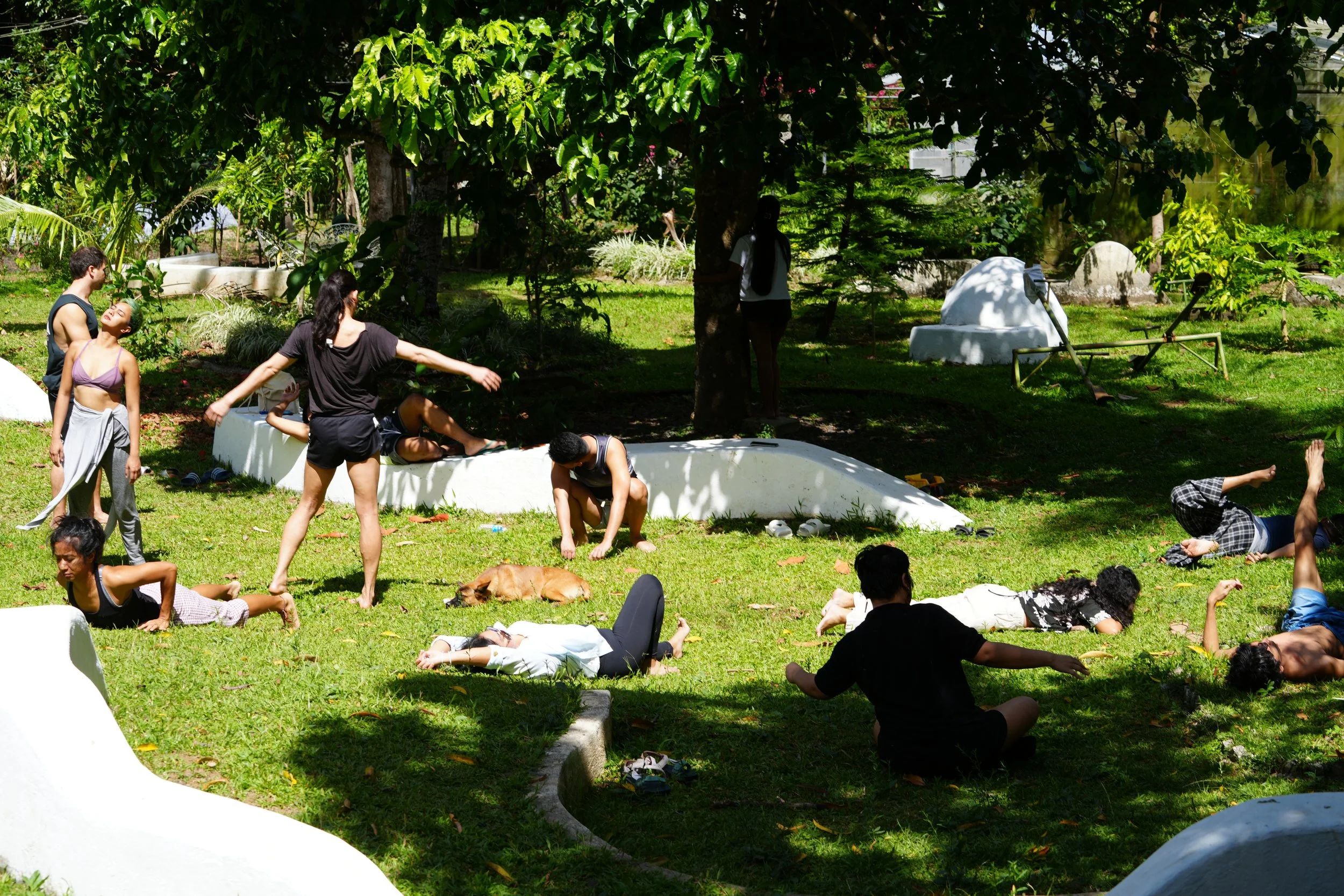 DSC08851.JPG
