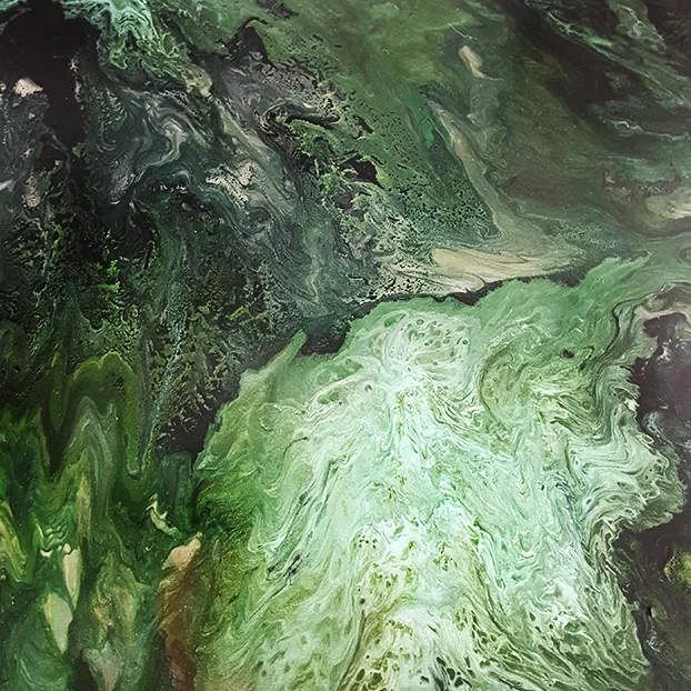 painting-green-10.jpg
