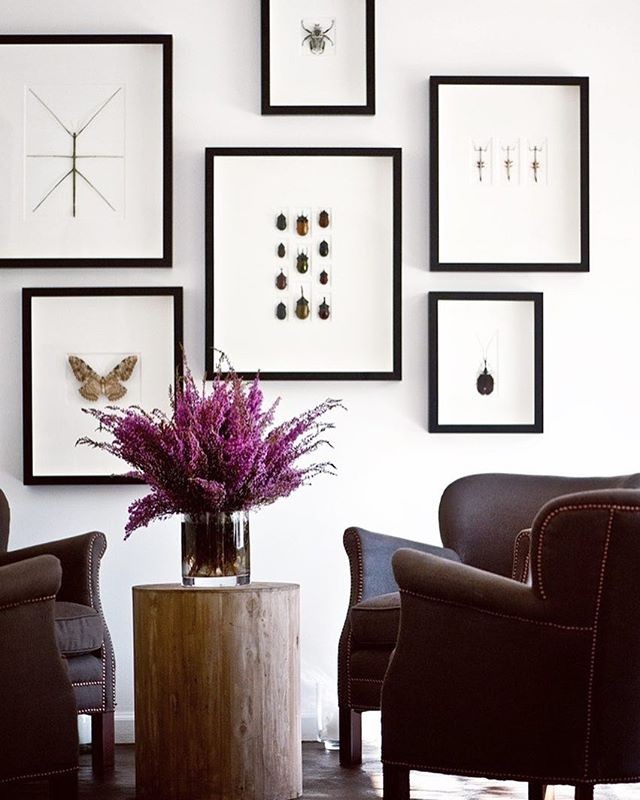 A beautiful wall art collection with a nod to the sprit of Halloween. Created by @seanandersondesign . I love the repeated frame styles and entomology theme, but with unique insect shapes and patterns. Those flowers are the show stoppers!
&mdash;
Des