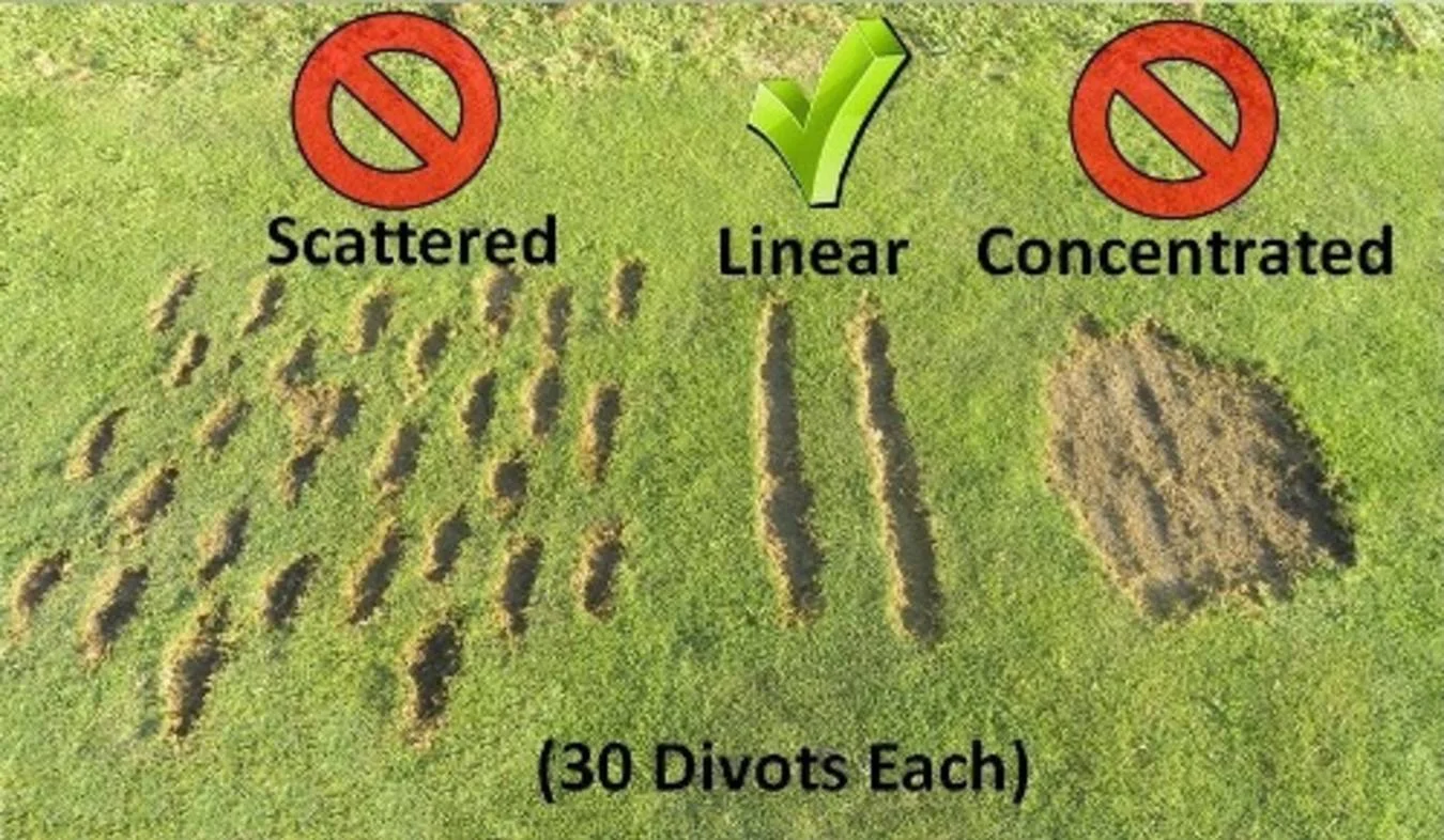 Divotpatterns.jpg