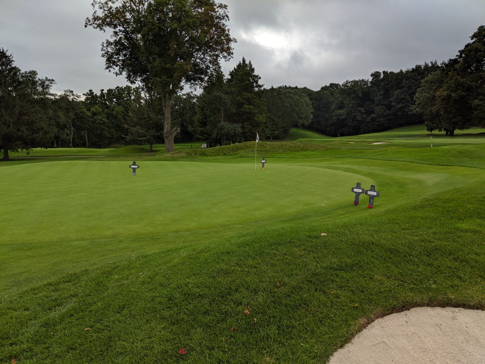 IMG_20190915_174059.jpg