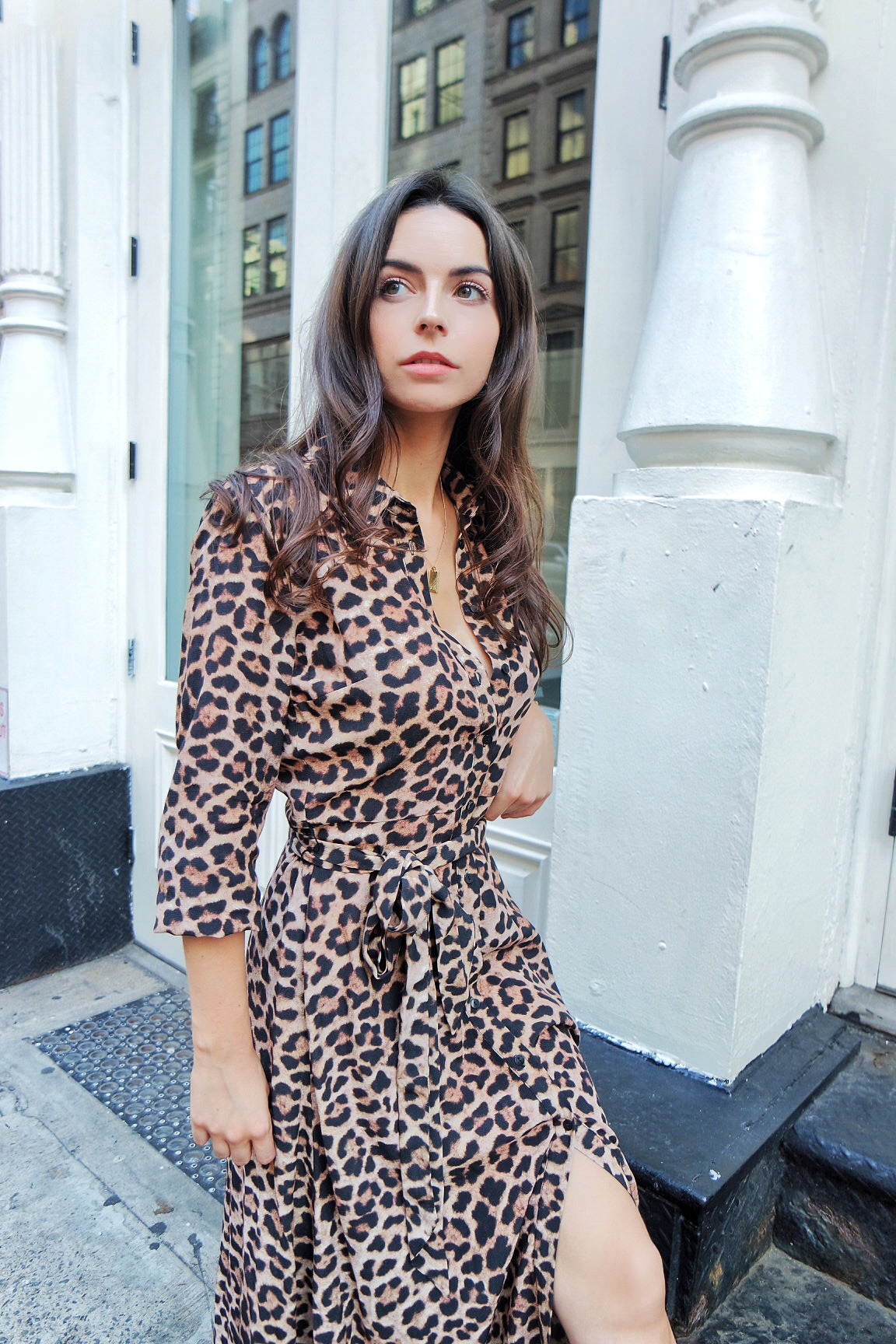 zara leopard skin dress