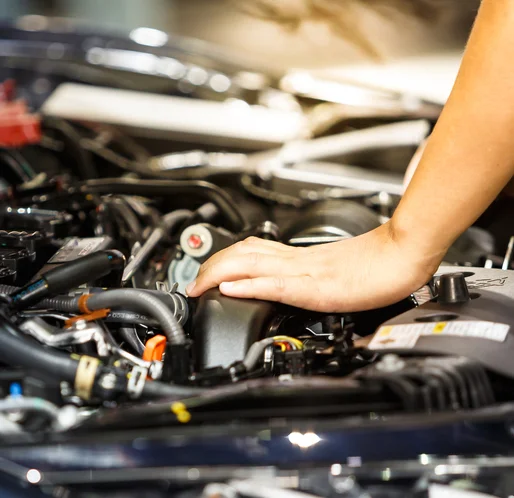 Underhood.jpg
