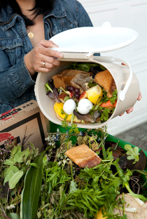 foodwaste.png
