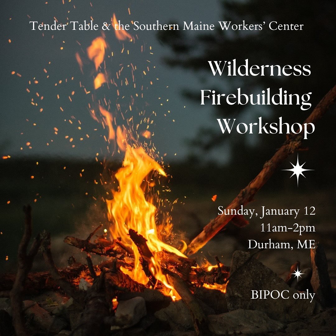 Wilderness Fire Building Workshop