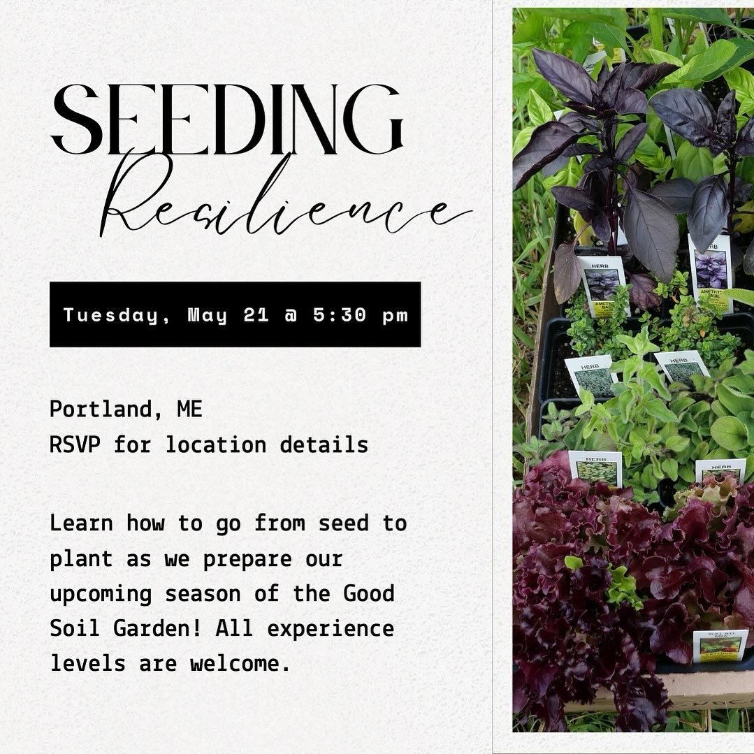 Seedling Workshop with Mihku Paul