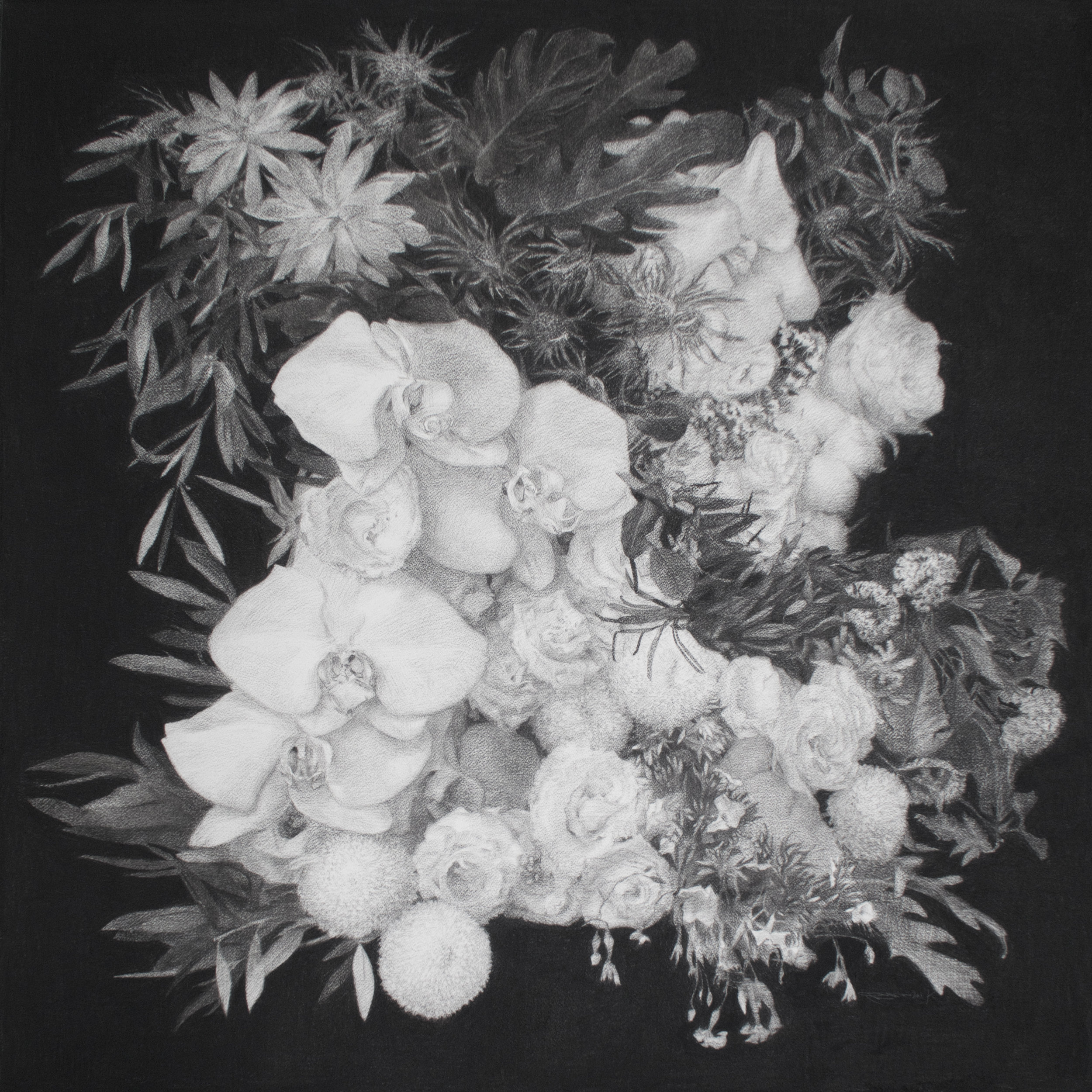   Flower Pile  2017 charcoal on paper, 90cm by 90cm  &nbsp; 