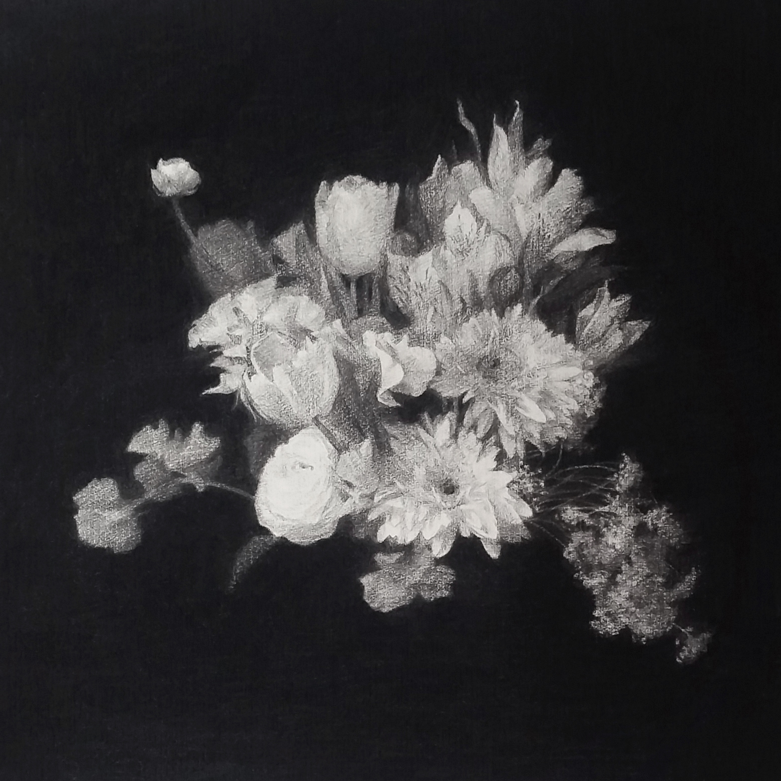   Flowers IX  2016 Charcoal on paper, 58cm by 58cm&nbsp; 