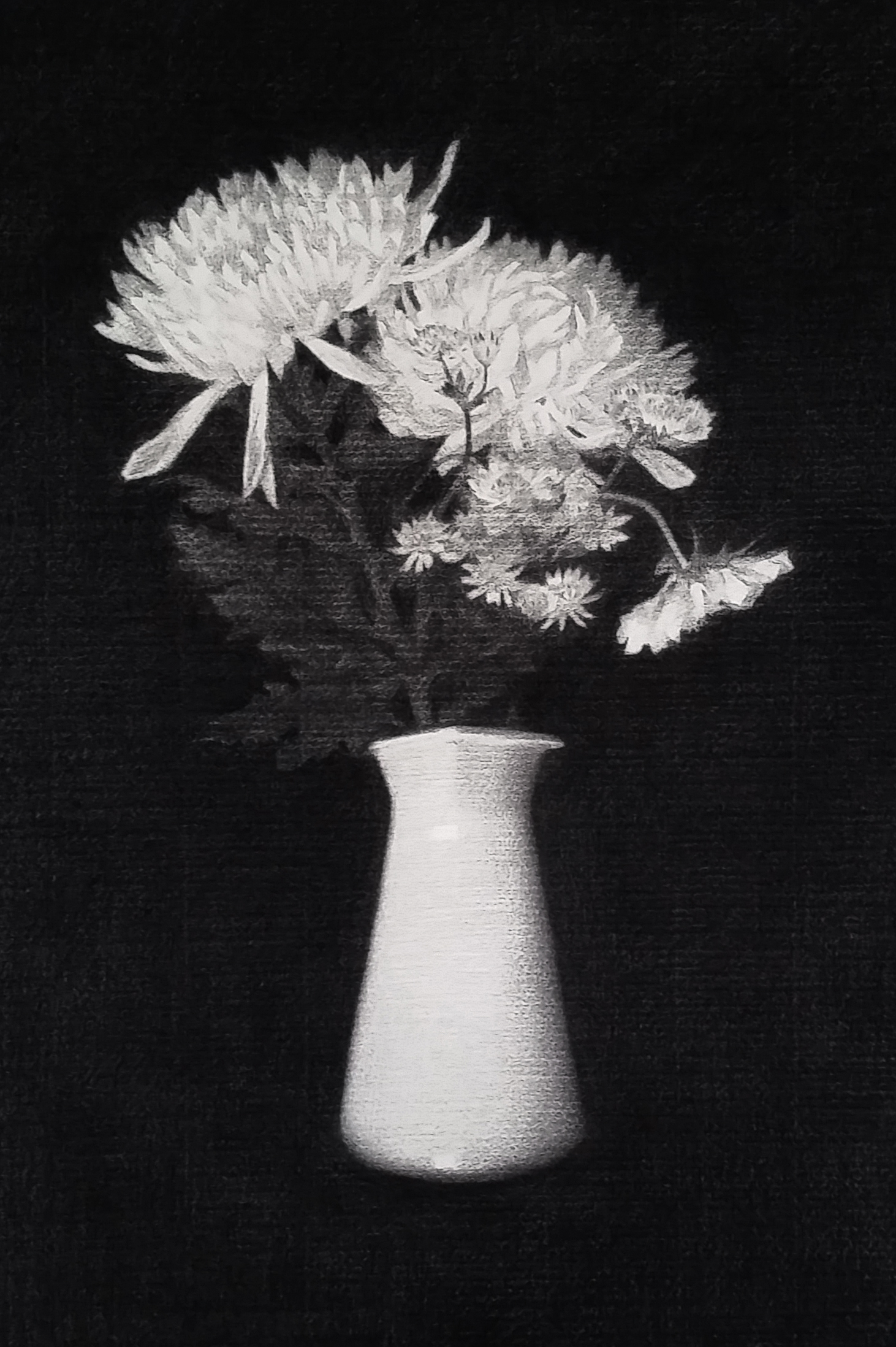   Flowers XI  2016 Charcoal on paper, 48cm by 58cm 