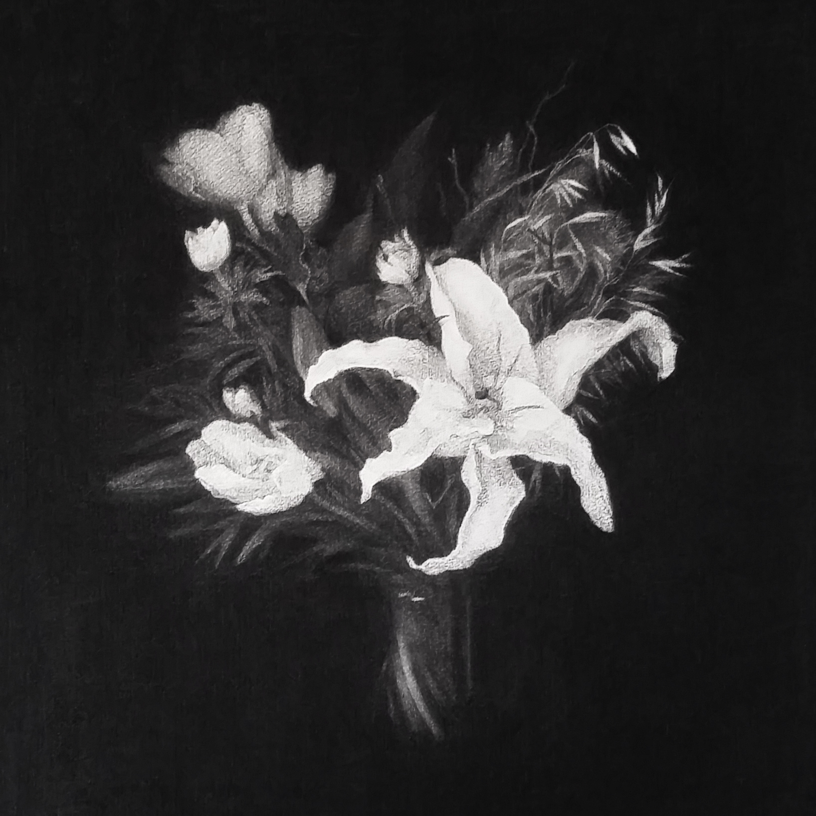   Flowers VIII  2016  Charcoal on paper, 56cm by 56cm 