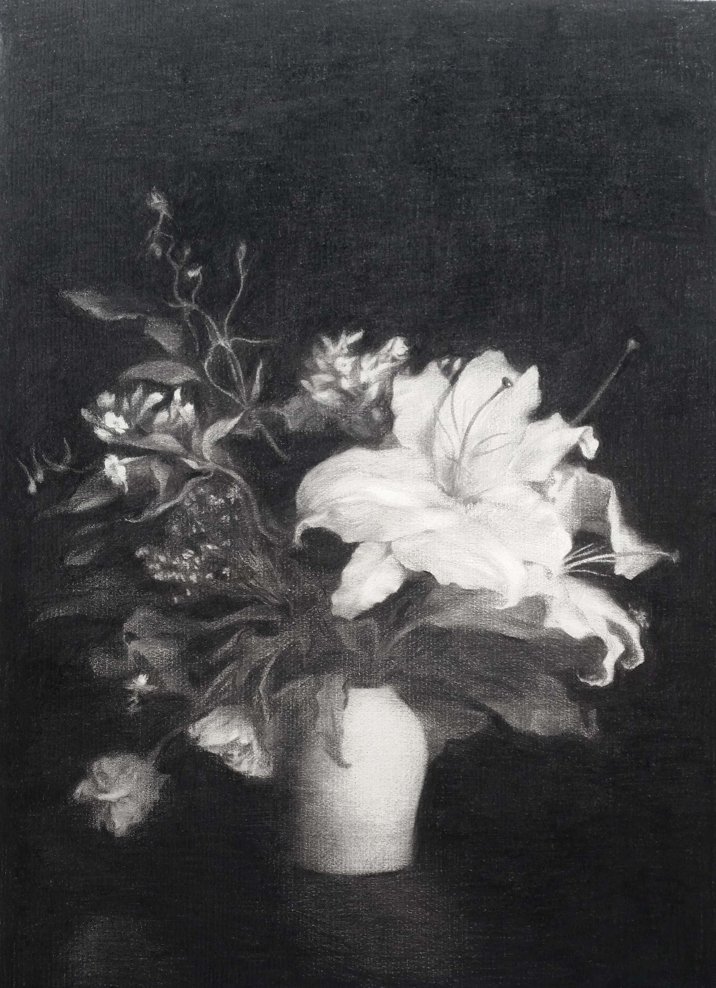   Flowers VII  2015 Charcoal on paper, 66cm by 82cm 