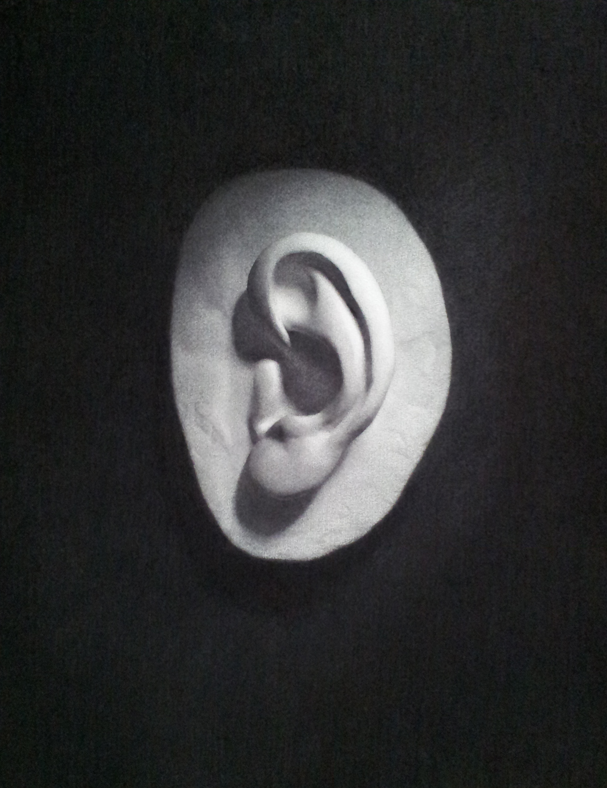   Ear Cast Drawing  2013  Charcoal on paper 