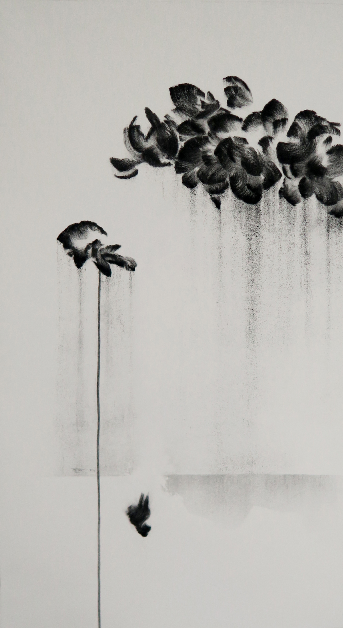   Poppy Wall  2017 Charcoal on paper, 100cm x 50cm 