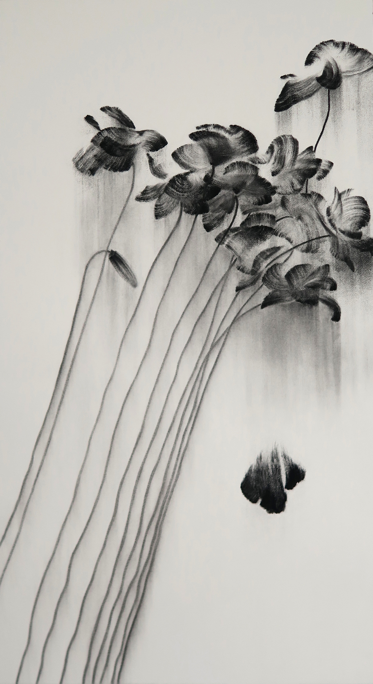   Rise and Fall  2017 Charcoal on paper, 100cm x 55cm 