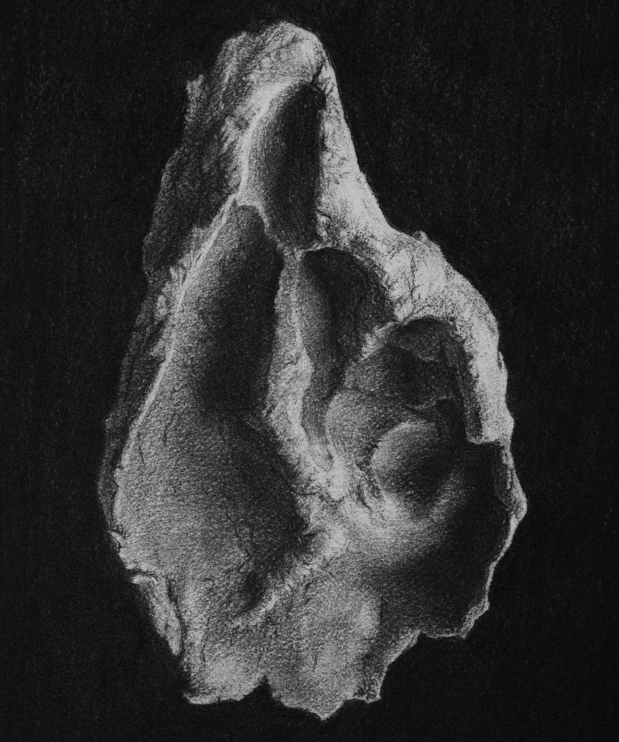   Soft Spaces  2020 Charcoal on Paper, 25cm x 34cm 