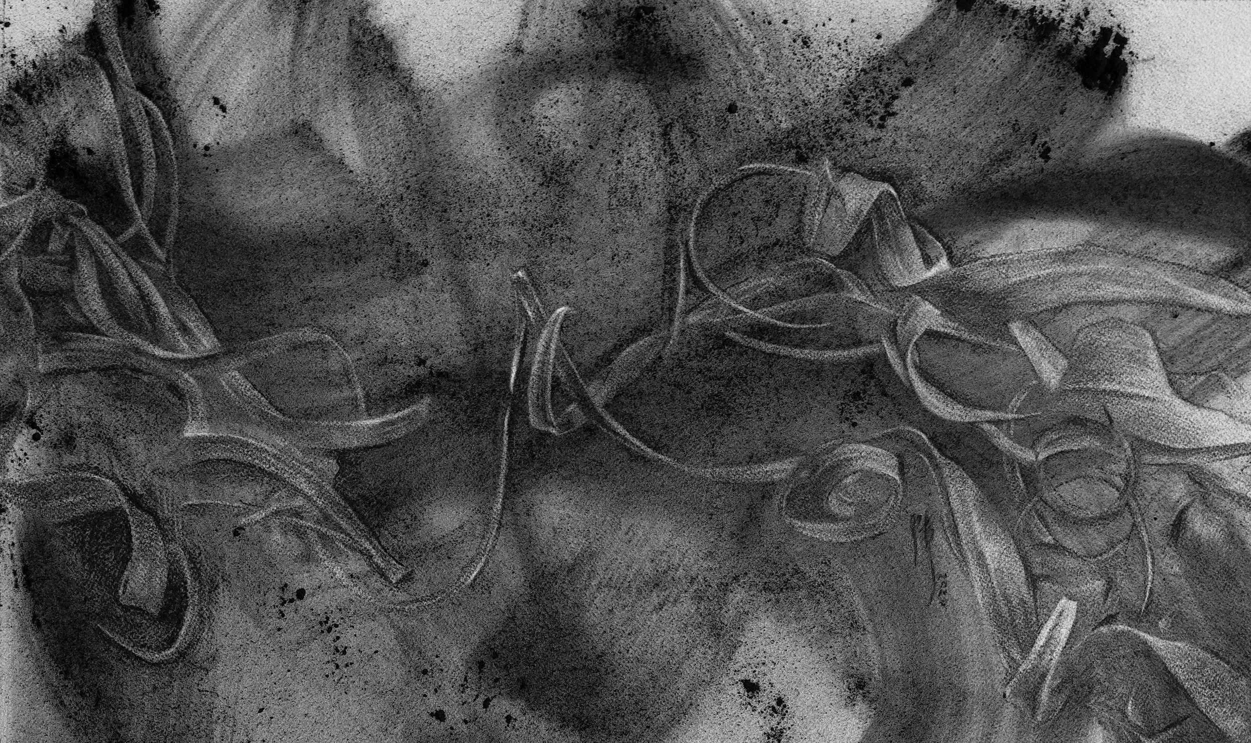   Complex Dialogues  2020 Charcoal on Paper, 55.5cm x 32.5cm 