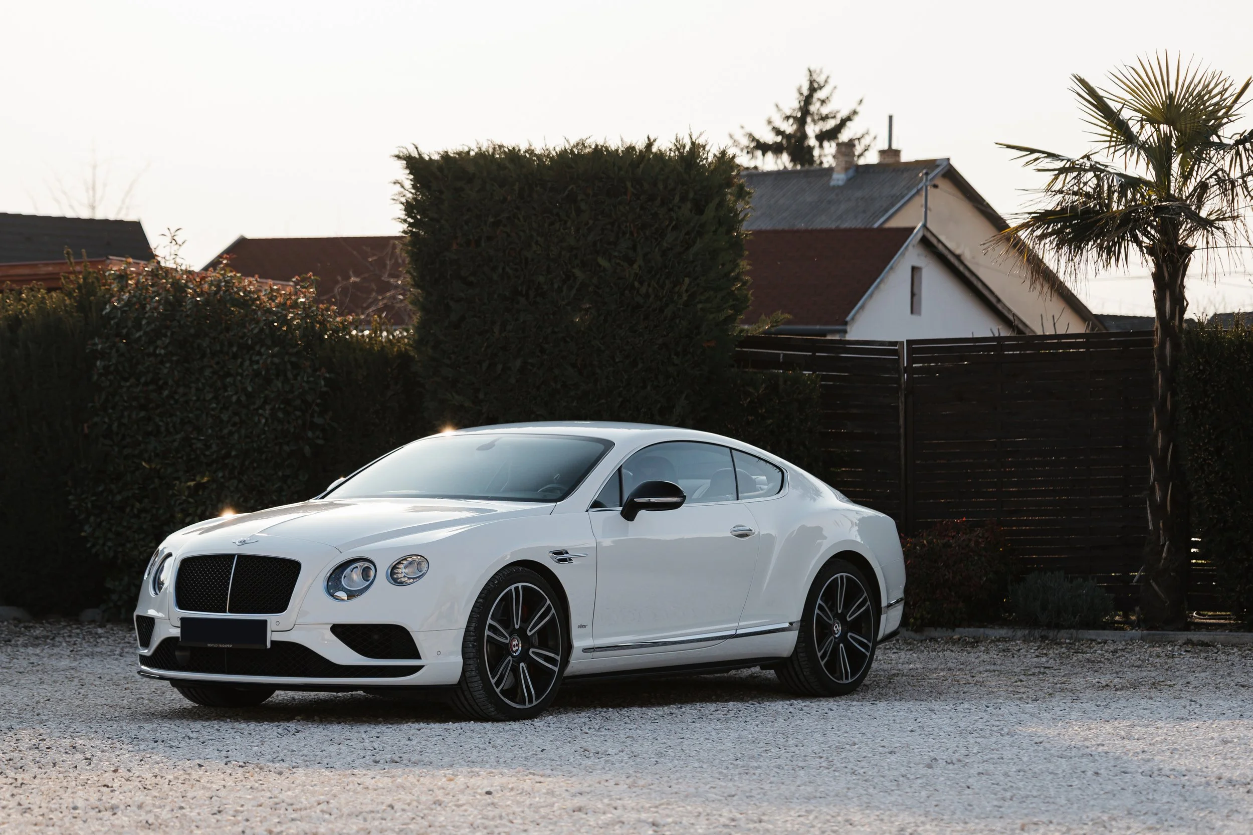 Bentley-16.jpg