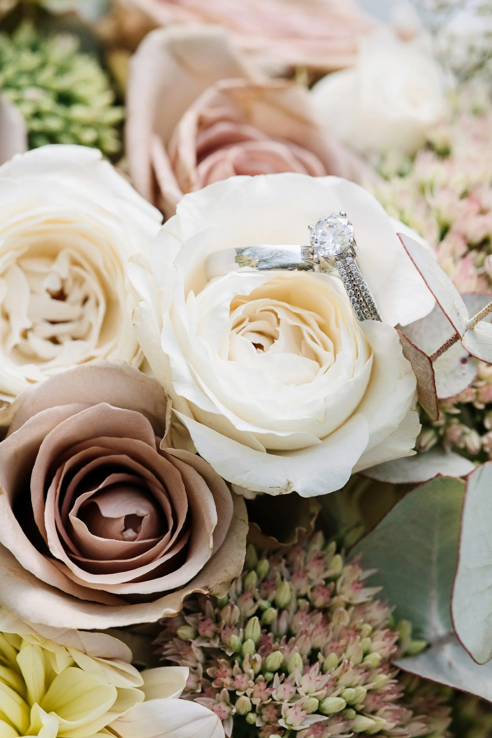 Close-up of white and beige roses with a diamond ring resting on one of the white roses, surrounded by other small flowers.