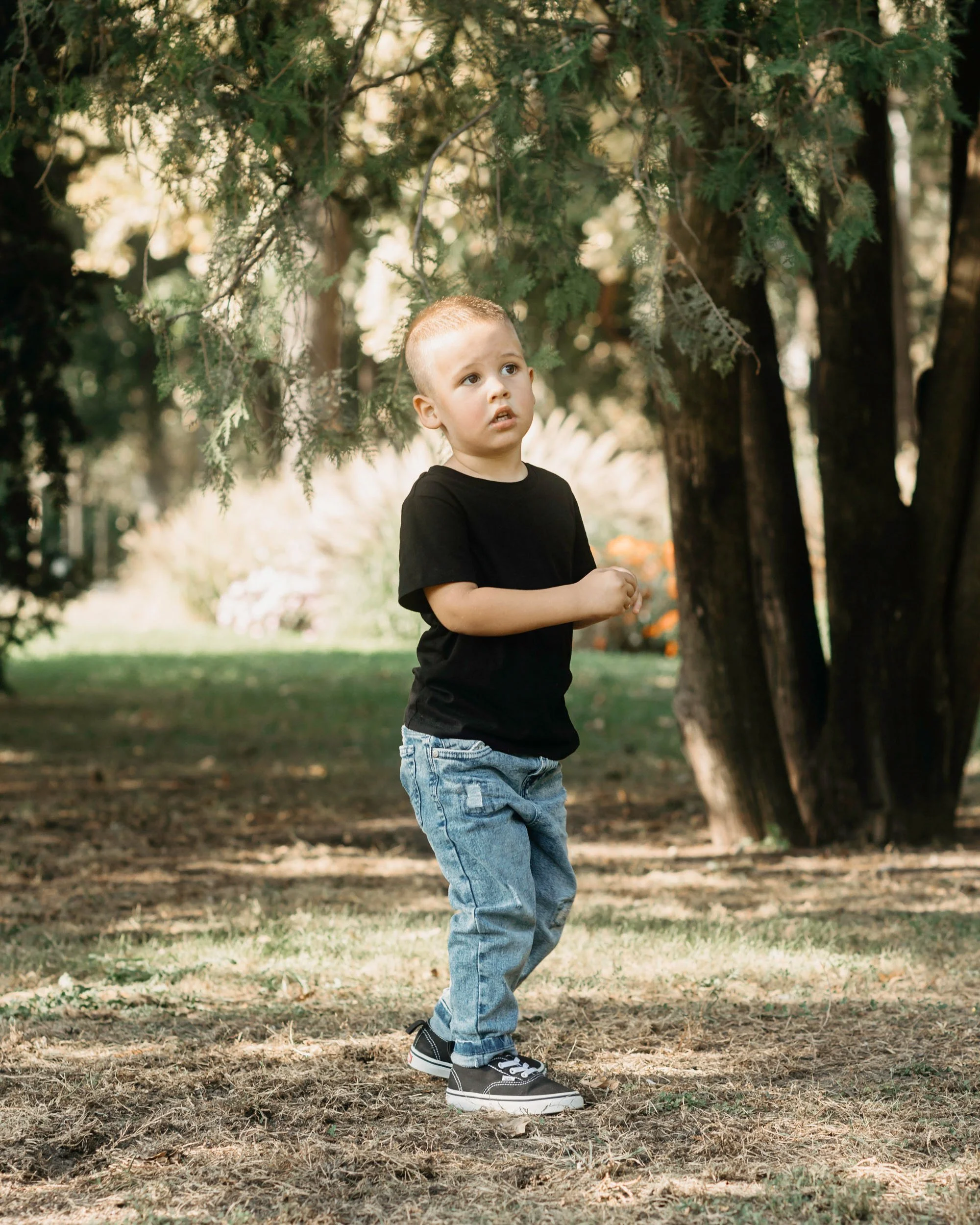 A young boy with short light brown hair, wearing a black t-shirt, blue jeans, and black sneakers, standing outdoors on a grassy area with trees in the background. He looks up with a curious expression.