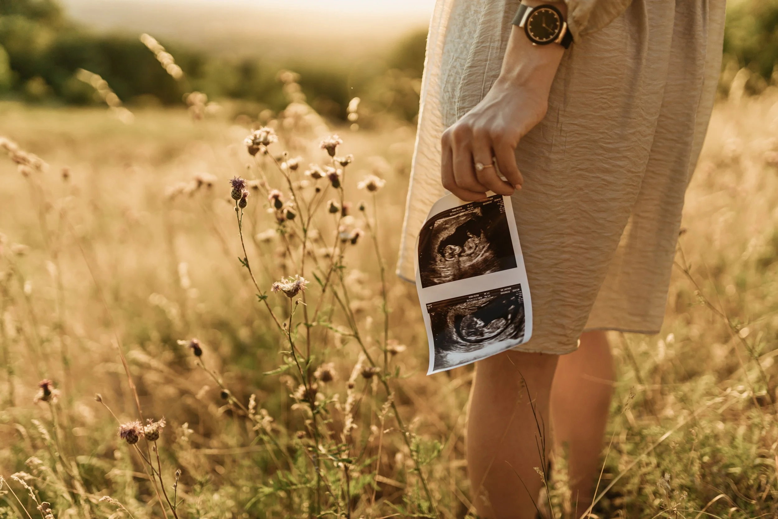 A person standing in a field holding ultrasound images in their hand, wearing a wristwatch and ring, with blurred plants and sunlight in the background.