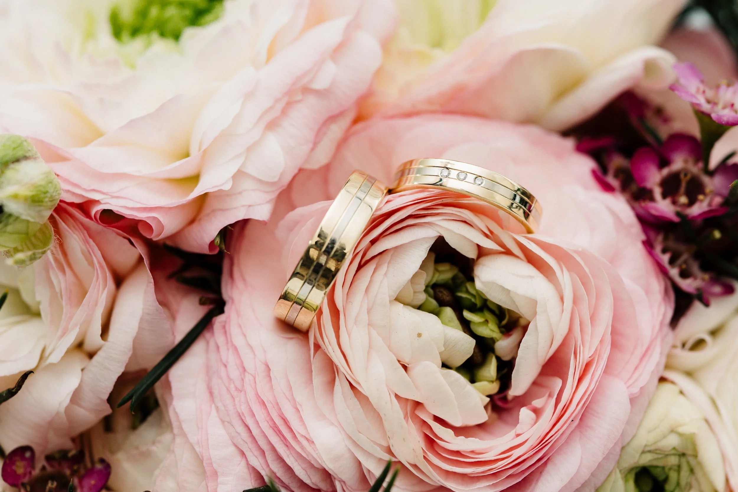 Close-up of two gold wedding bands resting on pink and cream roses with green leaves and small purple flowers in the background.
