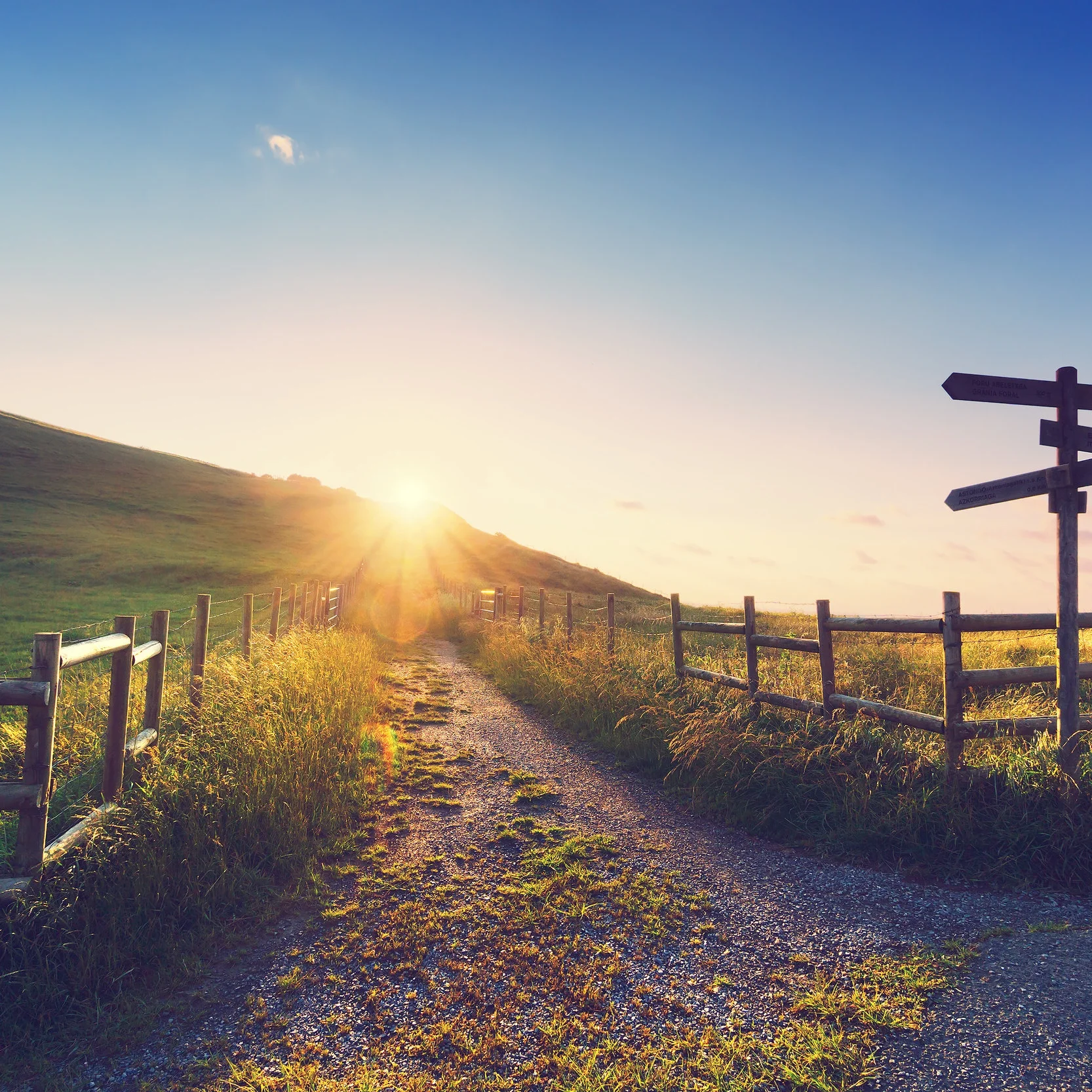 When you are your natural self it’s truly about connecting with humanity and Nature. Nature doesn’t foster competition; it fosters mutualism.