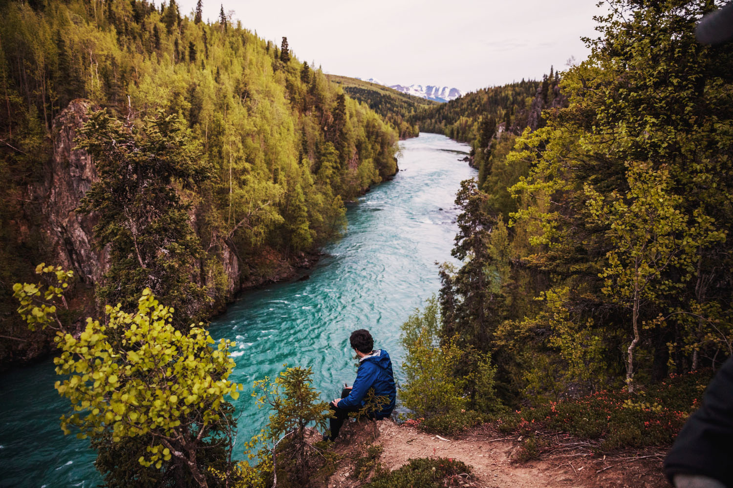 20180526_Alaska Kenai River_01277.JPG